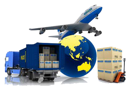 international courier service provider in sector 11 noida